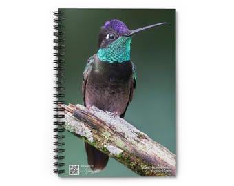 Rivoli&#39;s Hummingbird Spiral Notebook - Ruled Line, Hummingbird Notebook, Nature Lover Gift, Hummingbird Stationery, Notebook