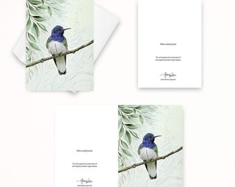 Hummingbird Greeting Card: White-necked Jacobin Blank Nature Note Card with Envelope