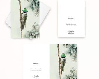 Andean Hillstar Hummingbird Note Card, Textured Card, Blank Note Cards, Thank You Cards, Nature Cards