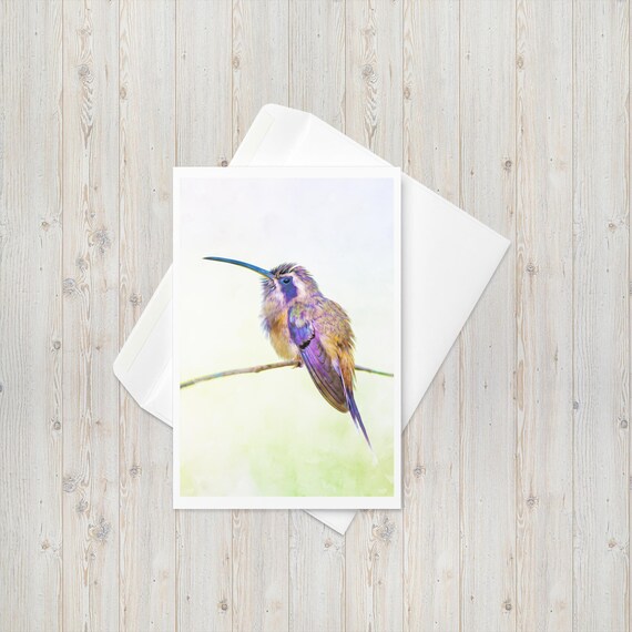 Hummingbird Branch Note Card Hummingbird Branch Note Card