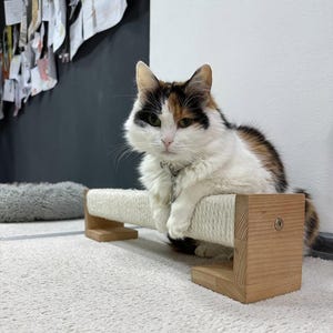 Wood Cat Scratcher, Sisal Rope Cat Scratching Post for Indoor Cats, Minimalist Pet Furniture, Horizontal Cat Scratcher with Solid Wood Base