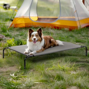 May include: A brown, white, and black dog rests on a gray elevated pet bed with black metal legs. The dog is lying down with its tongue out. A tent is in the background, set up in a grassy area.