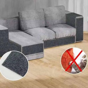 May include: A modern gray sectional sofa with a dark gray trim. The sofa has a chaise lounge and two seat cushions. A close-up shows a sample of the dark gray fabric. A red circle with a cat and a red X indicates the sofa is cat-proof.