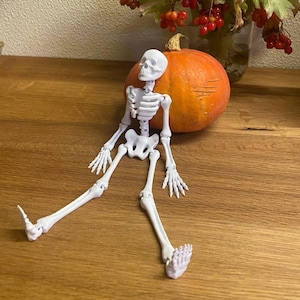 Movable Skeleton Halloween Decoration | Small Poseable Plastic Skeleton Prop | Mini Spooky Skeleton for Party Décor & Haunted House