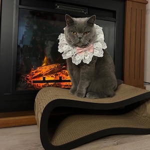 Può includere: Un gatto grigio con un colletto di pizzo bianco e un papillon rosa è seduto su un tiragraffi marrone. Sullo sfondo c'è un camino con un fuoco acceso. Il gatto ha gli occhi gialli e un'espressione seria.
