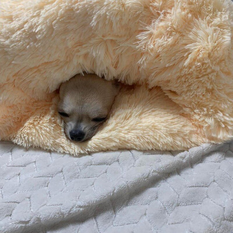 Handmade Snuggle Cat Bed - Etsy