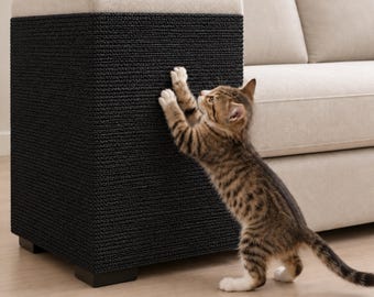 May include: A rectangular cat scratching post with a black textured surface and a beige top cushion. The post is positioned next to a beige sofa, and a small brown tabby kitten is standing on its hind legs, scratching the black side panel.