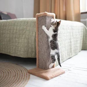 May include: A cat scratching post in shades of brown and beige. The post has a textured, rectangular scratching surface, and a small cat is climbing and scratching it. The base is square, and the top has a soft, plush trim.