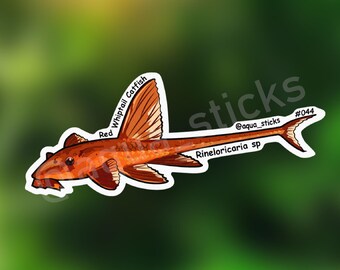 Red Whiptail Catfish - Vinyl Sticker