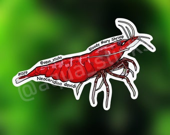 Crevettes Bloody Mary - Sticker vinyle crevette