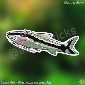 Dwarf Otocinclus - Vinyl Sticker