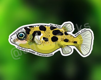 Pea Puffer Fish Vinyl Sticker