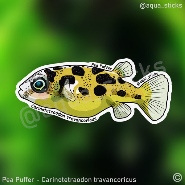 Pea Puffer Fish Vinyl Sticker