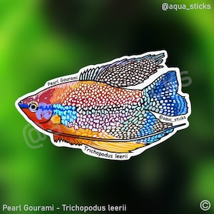 Pearl Gourami Vinyl Sticker