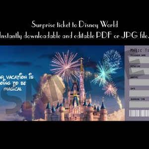 Magic Kingdom surprise travel ticket