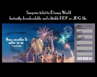 Magic Kingdom surprise travel ticket