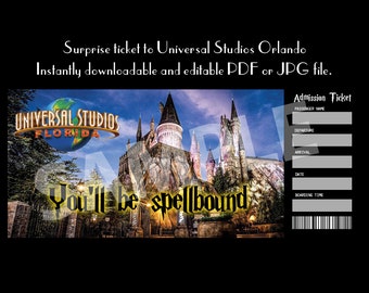 Universal Studios Orlando surprise travel ticket
