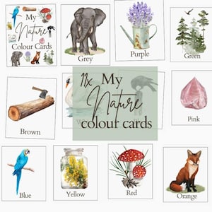 Nature-Inspired Color Flashcards for Toddlers, Printable Animal Color Cards for Preschool, Homeschool Printables, Color Recognition Sorting