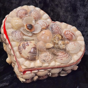 Seashell heart box with lid Seashell jewelry box with lid Trinket box with lid Handmade seashell box Heart shape seashell box with lid gift