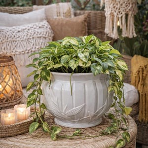 Vintage White Pottery Jardinière: Ribbed Flowerpot Planter, NM USA