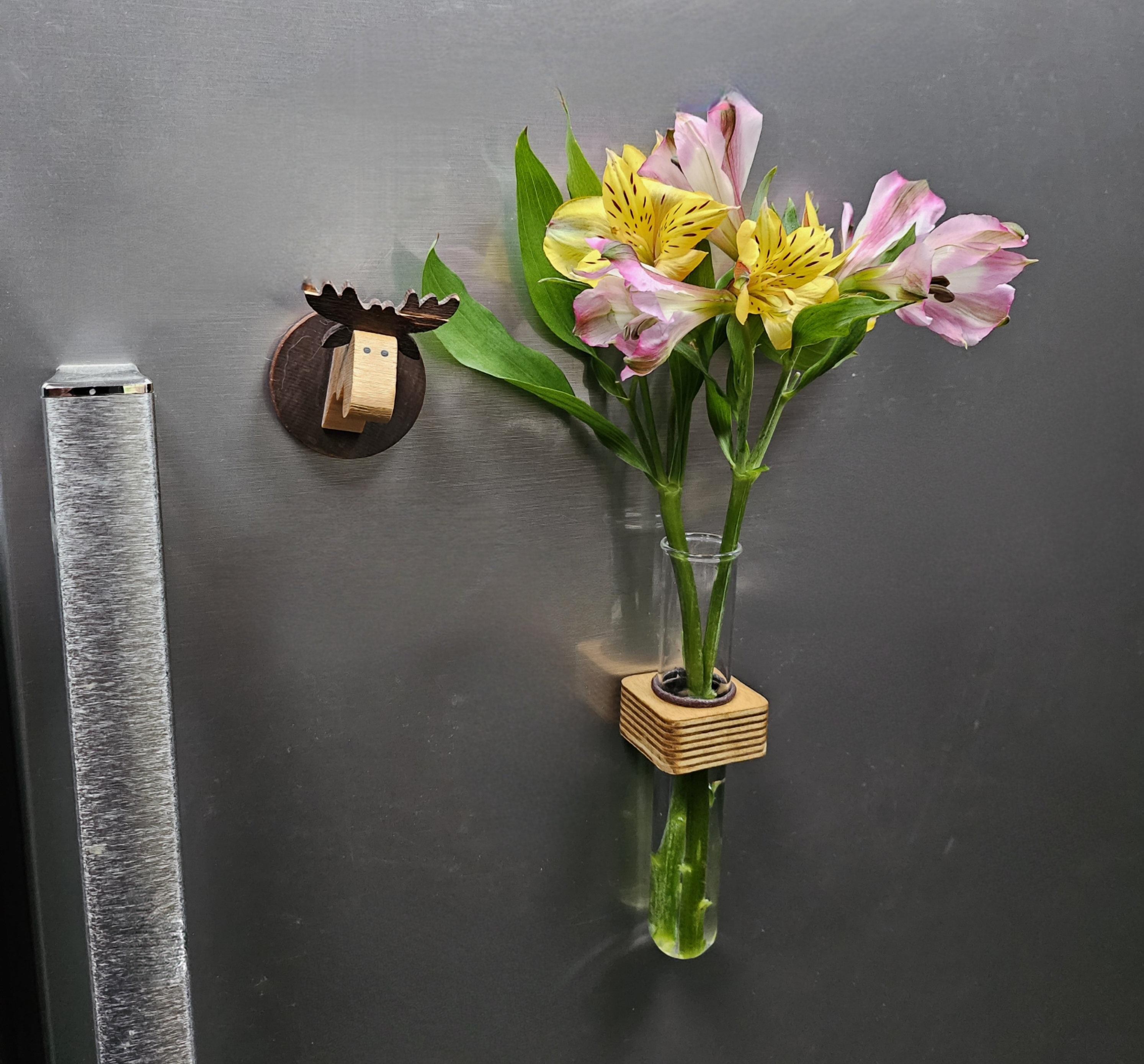 Magnetic Test Tube Vase * Magnetic Test Tube Vase *
