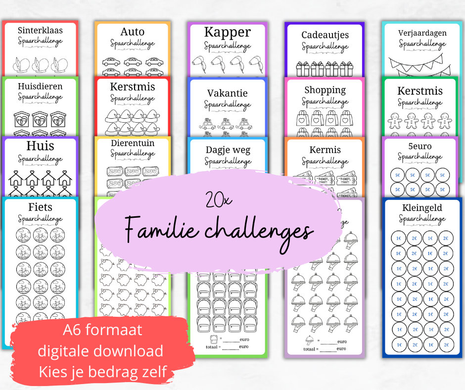 Digital FAMILY package 20 challenge cash stuffing for A6 Budget binder. Budget planning A6 Zipper pouch. EURO