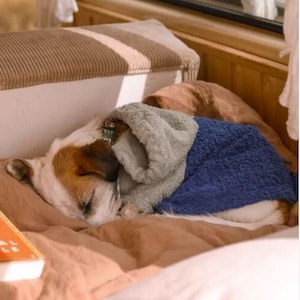 Custom-made dog bathrobe, dog bath poncho, terry cloth, hooded towel, bath towel, aponcho, dog clothes, dog fashion