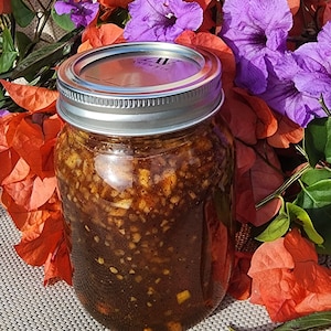 Organic Fermented Garlic Honey