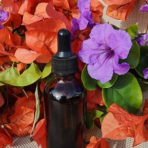 Organic Oil of Oregano