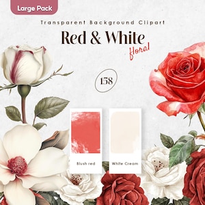 Aquarelle PNG rose rouge | Décoration florale de la Saint-Valentin | Bouquets de roses blanches | Fleurs Remise des diplômes | Fleur séchée png