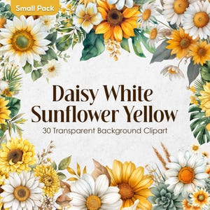 Daisy weiße Sonnenblume gelb Aquarell Clipart Set | Elfenbein Gold Blumen PNG | Transparente Schnee Honig Hochzeitssträuße Kommerzielle Nutzung
