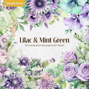 Clipart de flores de acuarela de lavanda y menta pastel / PNG floral de ciruela púrpura suave / Ramos de boda de color verde lila transparente para uso comercial