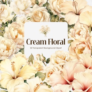Creme Vanille Blumen Aquarell Clipart, Champagner Elfenbein Blumen PNG transparenter Hintergrund, Buttercreme Soft Beige Hochzeit Bouquets Blüte