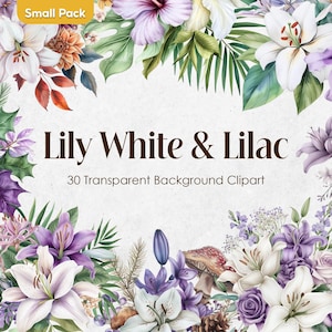 Conjunto de clipart em aquarela de flores lilás brancas e roxas, fundo transparente de flores de lavanda PNG, buquês de casamento violetas, arte digital
