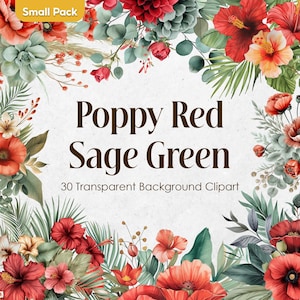 Ensemble de cliparts aquarelle coquelicot rouge : PNG floral vert sauge (téléchargement numérique)