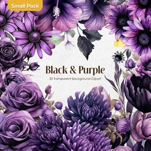 Flor morada oscura PNG Clipart / Conjunto floral PNG amatista medianoche / Ramos de boda de acuarela violeta góticos para uso comercial