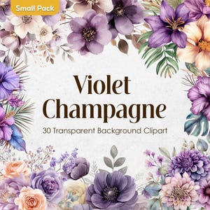 Fioletowe róże szampańskie akwarela clipart zestaw | Plum Cream Floral PNG | Przezroczyste lawendowe fioletowe bukiety ślubne do użytku komercyjnego