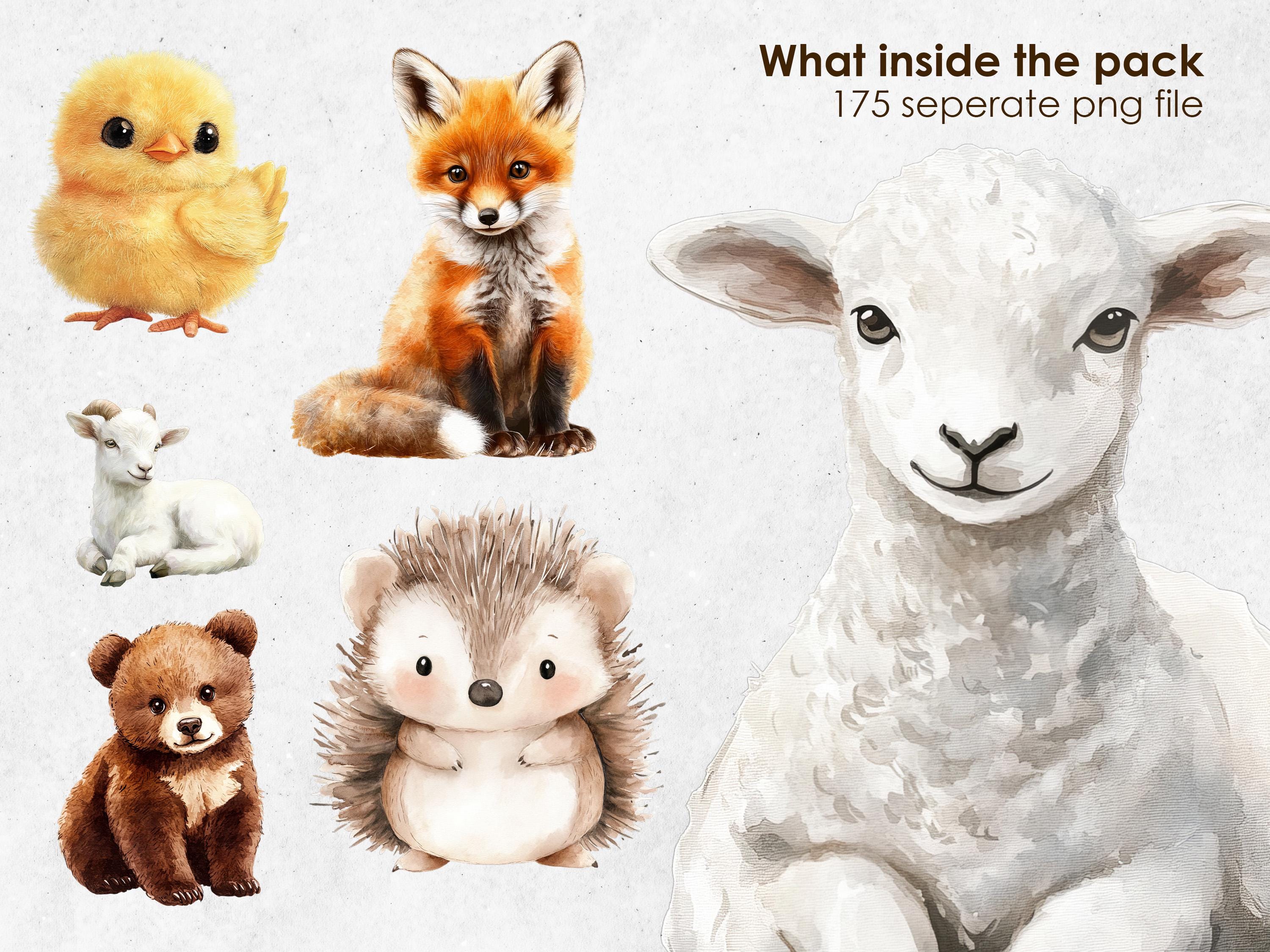 Baby Animal Watercolor Clipart | Cute Woodland Safari Farm Animals PNG ...