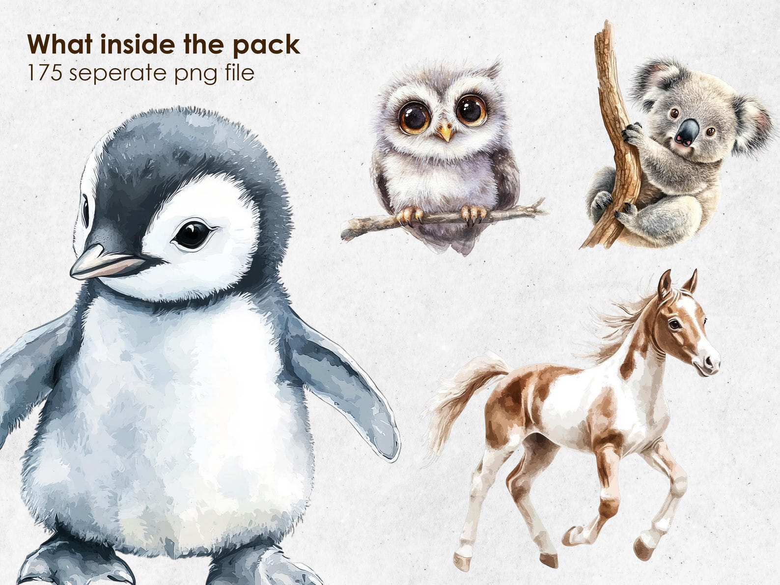 Baby Animal Watercolor Clipart | Cute Woodland Safari Farm Animals PNG ...