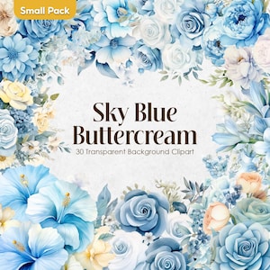 Clipart di fiori ad acquerello azzurro cielo / Sfondo trasparente floreale azzurro chiaro in formato PNG / Bouquet da sposa azzurro pastello in fiore per uso commerciale