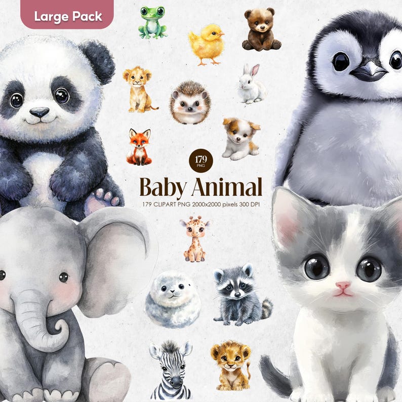 Baby Animal Watercolor Clipart | Cute Woodland Safari Farm Animals PNG ...