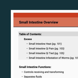 May include: A page from a book titled "Small Intestine Overview." The top section is a dark orange color. The table of contents lists topics such as "Small Intestine Heat" and "Small Intestine Qi Pain."