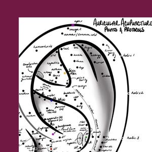 Auricular Acupuncture Chart (Digital Download)