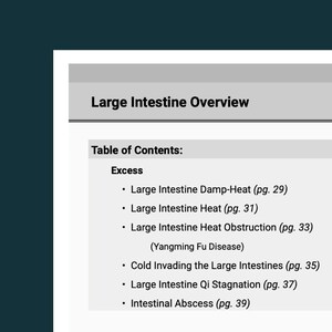 May include: A page from a medical textbook titled "Large Intestine Overview." The table of contents lists conditions such as "Large Intestine Damp-Heat" and "Intestinal Abscess." The text is black on a white background.