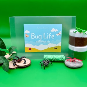 Bug Life Playdough Kit/Sensory Kit/Montessori Activity