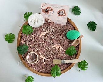 May include: A wooden sensory bin filled with brown rice and beans, featuring plastic dinosaur toys, a green egg, a small scoop, a paintbrush, and a card that reads "Can you find the fossils of these dinosaurs? These dinosaurs only ate meat."