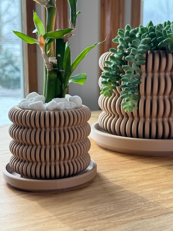 Wood Indoor Planter With Drip Tray  Modern Succulent & Cactus Pot - Etsy