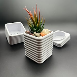 May include: White ceramic planter with a succulent plant inside. The planter has a ribbed design and is stacked on top of two other smaller white planters.