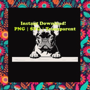 French Bulldog SVG, Frenchie Peeking clipart, Dog svg cricut Download, png, Breed DXF laser cut Vector graphics, Peeking face head paw Ideas