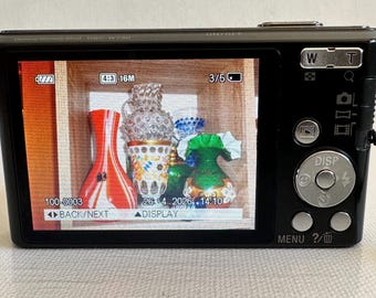 Buy Digital Camera Sony Cyber-shot DSC-W730 16,1 MP Online in